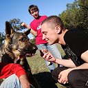 ���� �������, ����, 36 ��� - ��������� 6 ������� 2014 � ������ ���� ����������