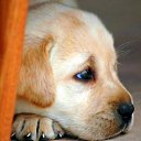 ���� �������, �����, 23 ���� - ��������� 5 ������ 2014