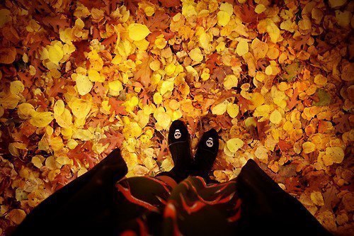 ...����� ���� ������ ������� ��� � �������