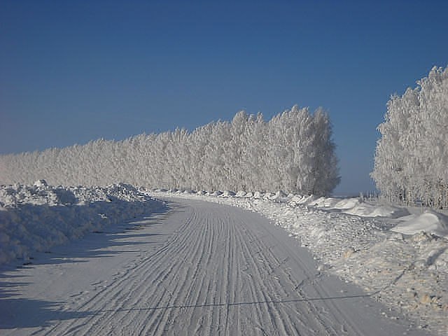 Сибирь зима дорога