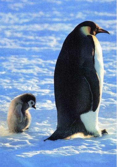 ����� ������� - 3 ������ 2014 � 15:08