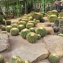 ���� �����, ������������, 40 ��� - ��������� 10 �������� 2014 � ������ ���� ����������