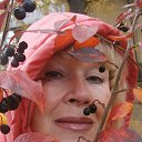 ���� �����, �����-���������, 72 ���� - ��������� 11 ������� 2014 � ������ ���� ����������