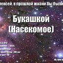 ���� �������, �����������, 33 ���� - ��������� 27 �������� 2014 � ������ ���� � ��� � ������� �����
