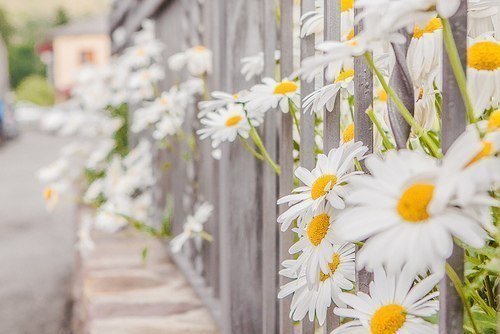 ���� �������, � �������!