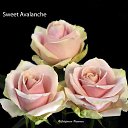 ���� Keti, �������, 54 ���� - ��������� 1 ������� 2014 � ������ ���� ������� ����!!!!�