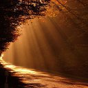 ���� ����, �������� - ��������� 10 �������� 2014 � ������ ������ ��������