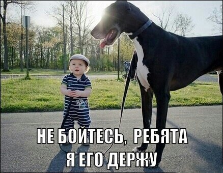 Приглашаю в группу,где море позитива: fotostrana.ru/public/237255/