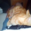 � ��� ��� �� ����� ����� �� ���. �� ������� ���� ����������