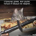 ���� ������, ������� - ��������� 19 ������ 2014 � ������ ������ ��������