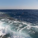 ���� �����, ���������, 72 ���� - ��������� 22 ������ 2014 � ������ ������� ���� -���- �����