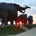 ���� ������, ������, 65 ��� - ��������� 4 ������� 2014 � ������ ���� ����������