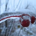  ,  -  21  2014    2014