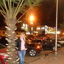 ���� �����, ������ �������� - ��������� 7 ������ 2014 � ������ ���� ����������