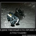 ���� �������, ����� - ��������� 12 ������� 2014 � ������ ���� ����������