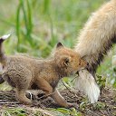 ���� �����&copy;, ������, 48 ��� - ��������� 18 ������ 2014 � ������ ������ ��������