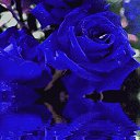���� �����, �����, 63 ���� - ��������� 6 ������� 2014 � ������ ���� ����������