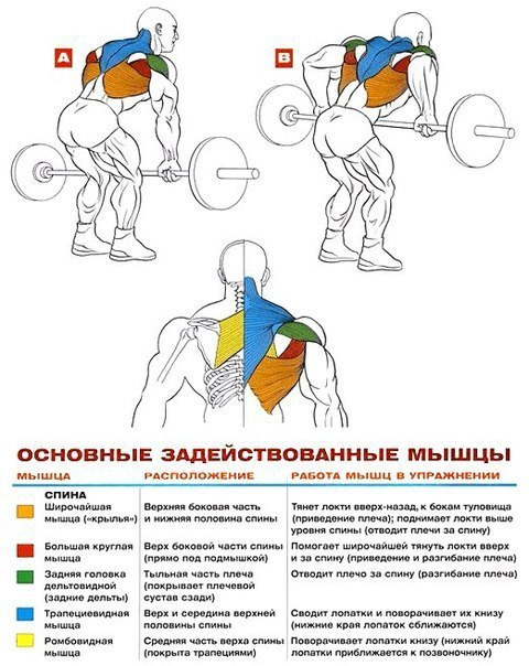 Как накачать крылья в тренажерном зале