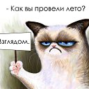 ���� ��������, �����������, 38 ��� - ��������� 8 �������� 2014 � ������ ������ ��������