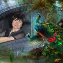 ���� �����, ��������, 62 ���� - ��������� 23 ������ 2014 � ������ ���� ����������