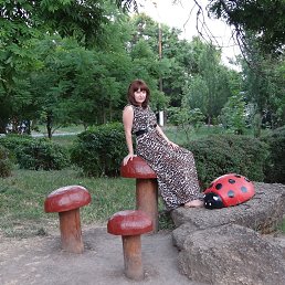 ����, ��������, 41 ���