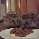 ���� �������, ������ - ��������� 7 ������� 2014 � ������ ���� ����������