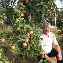 ���� ������, �������, 74 ���� - ��������� 8 �������� 2014