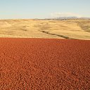 ���� �����, ����-����������� - ��������� 28 ������� 2014 � ������ ������ ��������