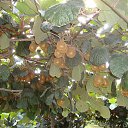 ���� �� ������� ������� 2�