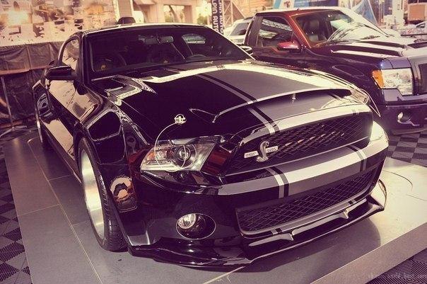 Ford Mustang Shelby GT500