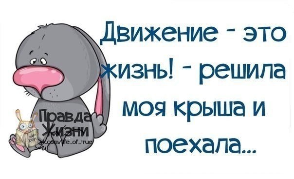 Жизнь это движение сказала моя крыша и поехала. Крыша прикол. Смешная крыша. Крыша едет не спеша. Я и моя крыша.
