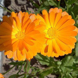 ���� �����, ������ - ��������� 29 ������ 2014