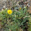 ���� �����, ������� - ��������� 7 �������� 2014 � ������ ���� ����������