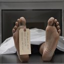 ���� ������, �������, 49 ��� - ��������� 29 ������� 2014 � ������ ������ ��������