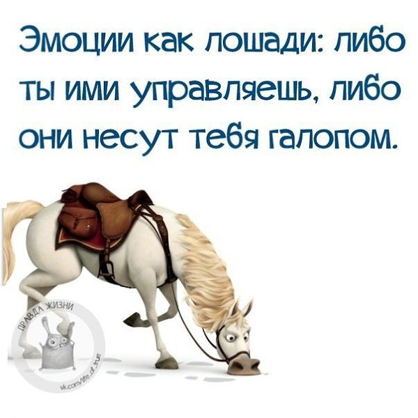 ...��������� ���� ����� ��������� :)