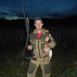 ����, ������, 40 ���