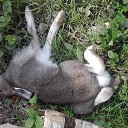 ���� ���������, ����� - ��������� 10 ������� 2014 � ������ ���� ����������