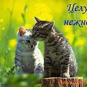 ���� �������, ����������� - ��������� 25 ������ 2014 � ������ ������ ��������