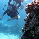 ���� ������, ������, 48 ��� - ��������� 26 �������� 2014