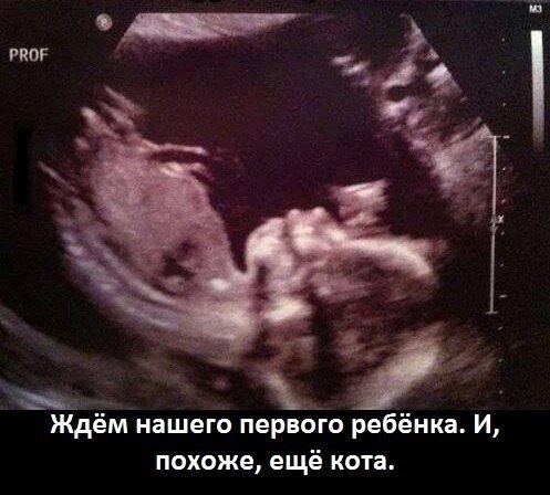   -  ! - 6  2014  18:30