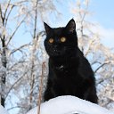 ���� ����, ������ - ��������� 8 ������ 2014 � ������ ���� ����������