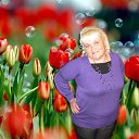 ���� �������, �����������, 52 ���� - ��������� 16 �������� 2014 � ������ ���� ����������