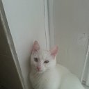 ���� ��������, ����������, 30 ��� - ��������� 29 ������ 2014 � ������ ���� ����������