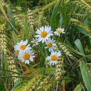 ���� �����, ���������, 62 ���� - ��������� 11 �������� 2014 � ������ ������ ��������