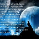 ���� �����, ������, 36 ��� - ��������� 25 �������� 2014 � ������ ������ ��������