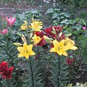 ���� ����, ������, 59 ��� - ��������� 8 ������� 2014 � ������ ���� ����������