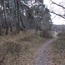 ���� �����, ������, 52 ���� - ��������� 3 ������ 2014 � ������ �������� 3-11-2014�