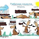 ���� �������, ������������, 60 ��� - ��������� 23 �������� 2014 � ������ ������ ��������