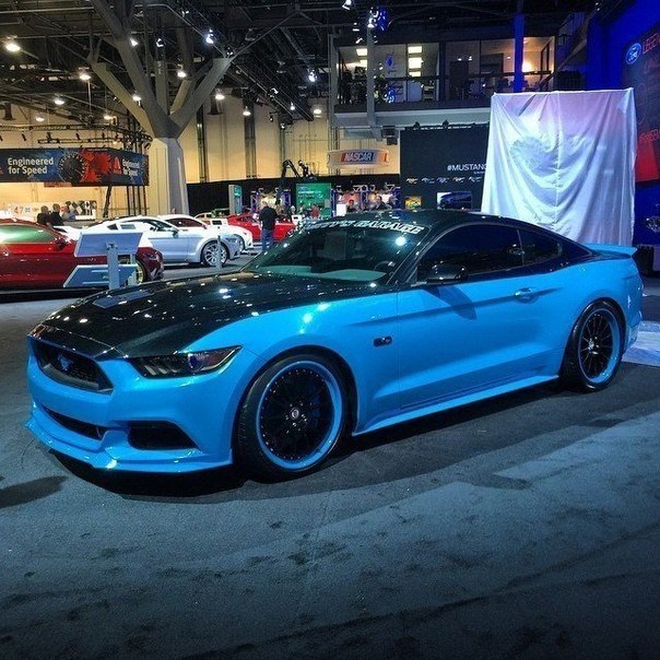 Mustang' 2015   