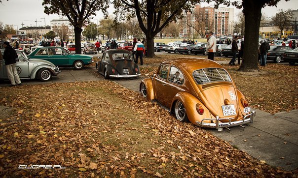 VW Beetle. - 3